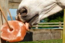 Load image into Gallery viewer, Animal salt lick