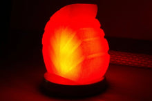 Load image into Gallery viewer, Leaf shaped salt lamp