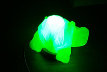 Load image into Gallery viewer, Salt lamp turtle