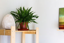 Load image into Gallery viewer, Extra Large white salt lamp