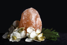 Load image into Gallery viewer, Pink Salt Lamp 8-10 KG
