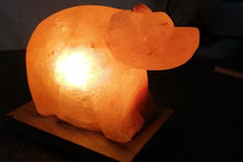 Load image into Gallery viewer, Dog Himalayan salt lamp