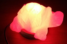 Load image into Gallery viewer, Turtle Salt lamp
