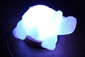 Himalayan salt lamp turtle
