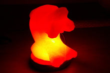 Load image into Gallery viewer, Dolphin Himalayan salt lamp
