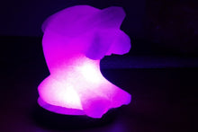 Load image into Gallery viewer, Dolphin Himalayn salt lamp
