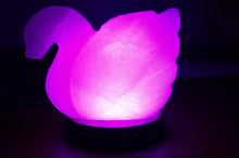 Load image into Gallery viewer, Animal Shaped Rock Salt Lamp
