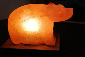 Dog shape Himalayan salt lamp