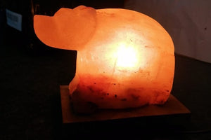 Dog shape Himalayan salt lamp