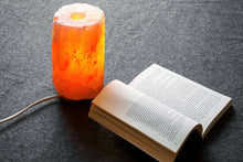 Load image into Gallery viewer, Himalayan salt lamp wax burner
