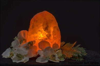 Himalayan rock salt lamp