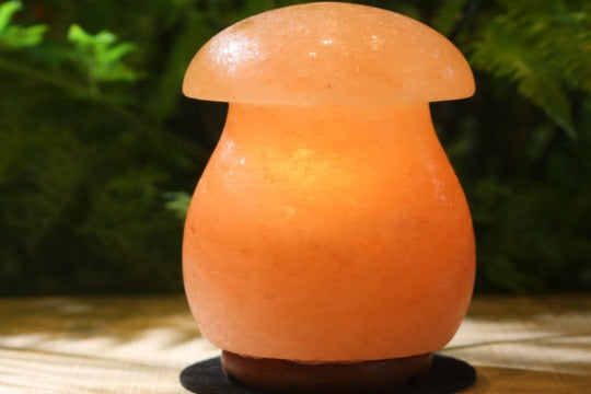Mushroom Himalayan salt lamp